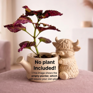 Cow Watering Can Planter