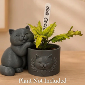 British Shorthair Planter