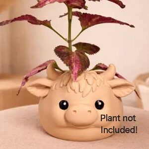 Chubby Highland Cow planter