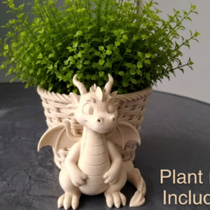 Mystic Dragon Basket Planter