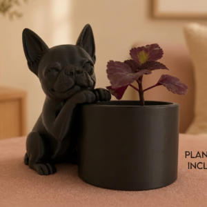 Alternative view of Boston Terrier Succulent Planter