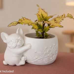 Frenchie Planter