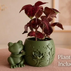 🐸 The Cute Frog 3D-Printed Planter