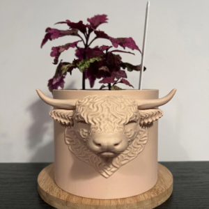 Planter Highland Cow Head